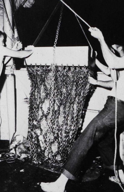 Dredge haul on EXPLORER Picture