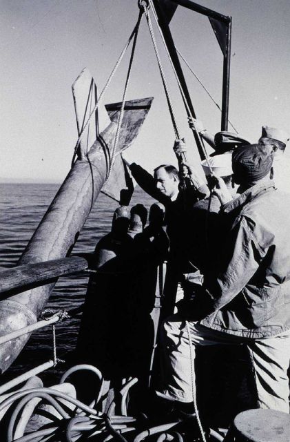 Deploying Fluxgate magnetometer on EXPLORER Picture