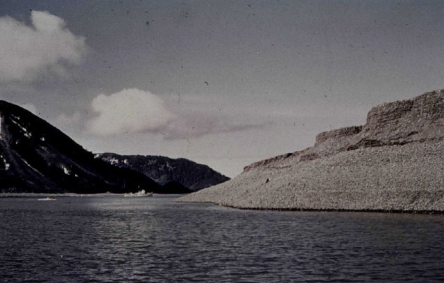 Earthquake uplift at McLeod Harbor, Montague Island Picture