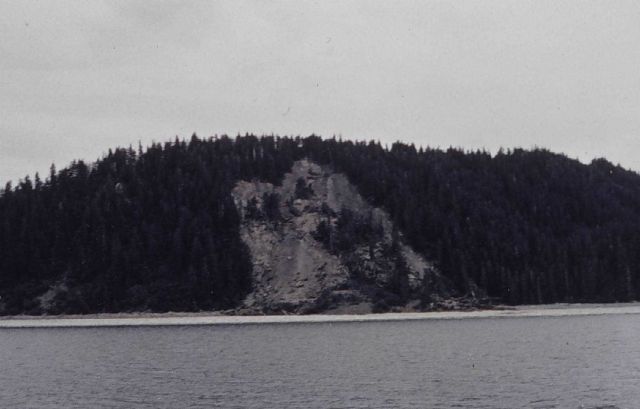 Landslide scar at Hanning Bay Picture
