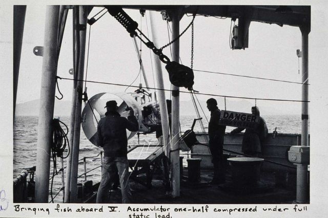 Recovery of sidescan sonar system on SURVEYOR Picture