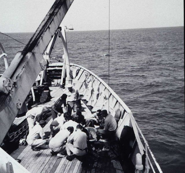 Dredge sample on deck - all hands want to see what's there Picture
