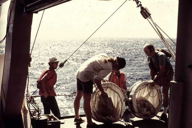 Bongo nets on OCEANOGRAPHER during DOMES project Picture