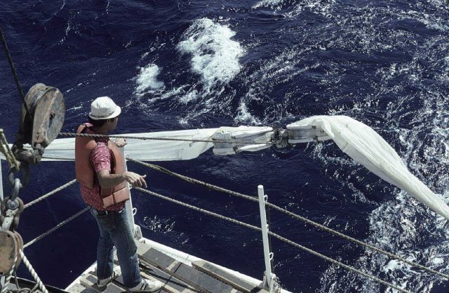 Large surface tow net going over the side during DOMES project Picture