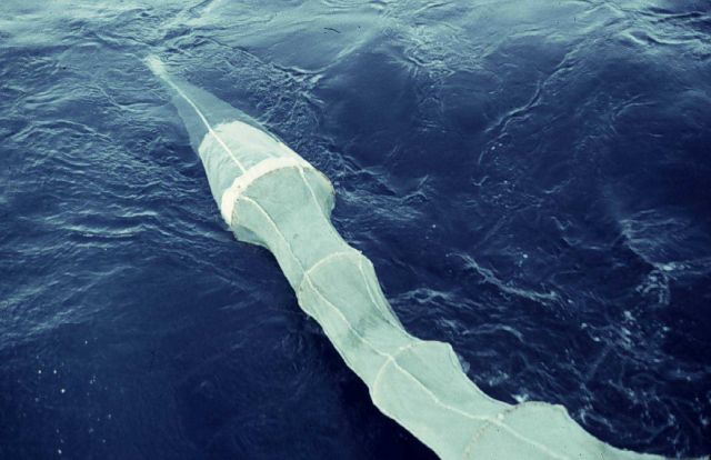 Large surface tow net Picture