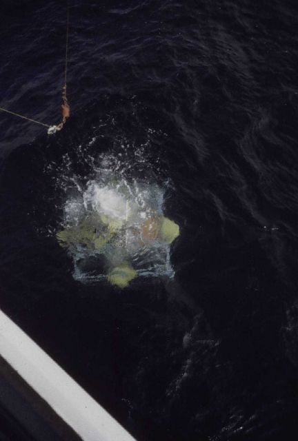 BISP being released and beginning trip to bottom Picture