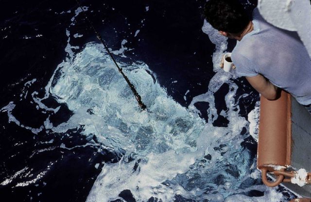Woods Hole Angus camera sled in water prior to being lowered to bottom Picture