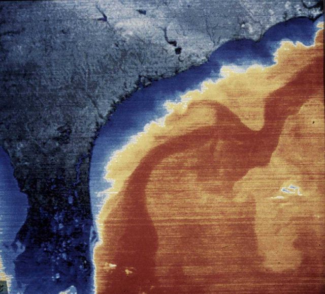 Satellite sensors and imagery have revolutionized oceanography Picture