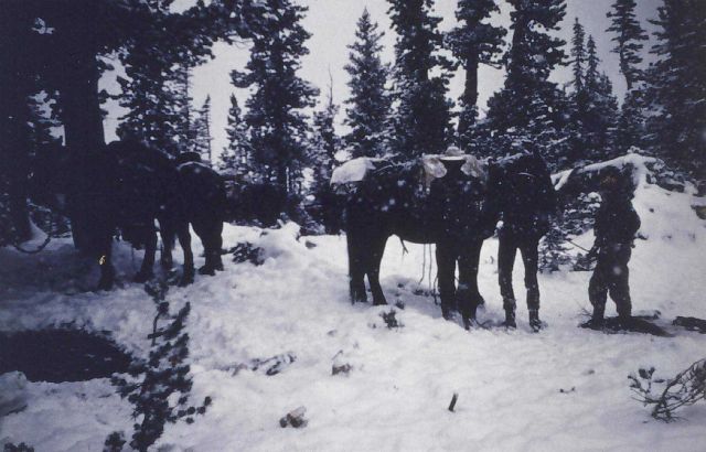 Getting out before the snow gets deep Picture