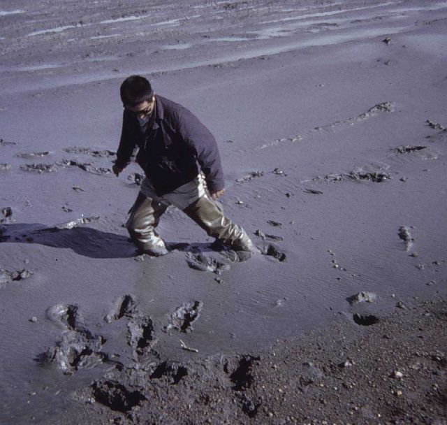 It's tough to run a 100-yard dash on Kalgin Island Picture