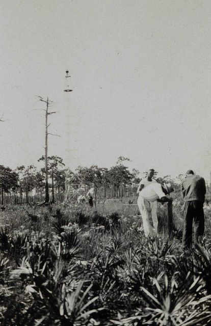 Traverse work on Florida's West Coast Picture