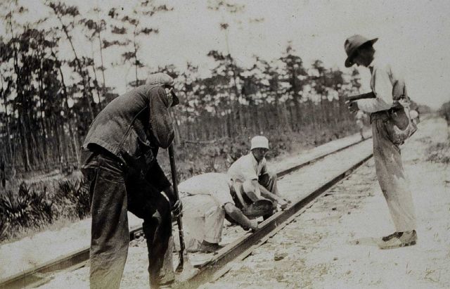 Traverse work on Florida's West Coast Picture