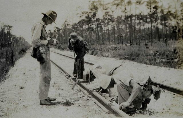 Traverse work on Florida's West Coast Picture
