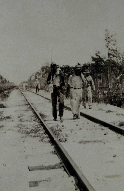 Traverse work on Florida's West Coast Picture