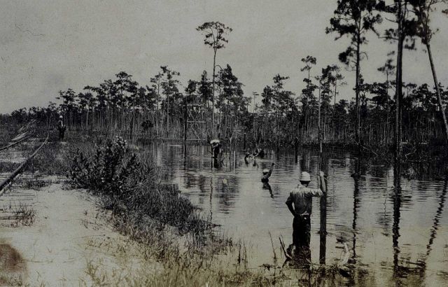 Traverse work on Florida's West Coast Picture