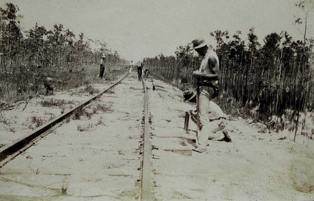 Traverse work on Florida's West Coast Picture