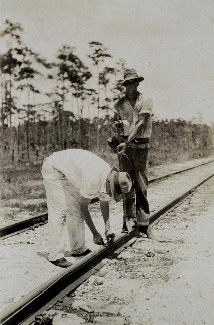 Traverse work on Florida's West Coast Picture