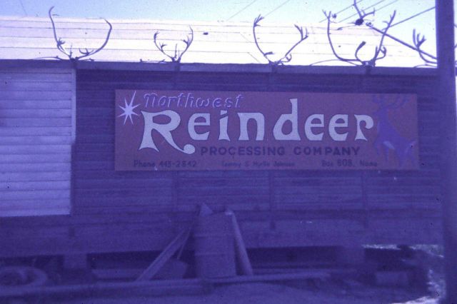 Reindeer meat processing plant Picture