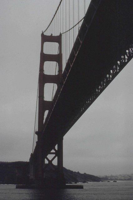 Passing under the Golden Gate Bridge Picture