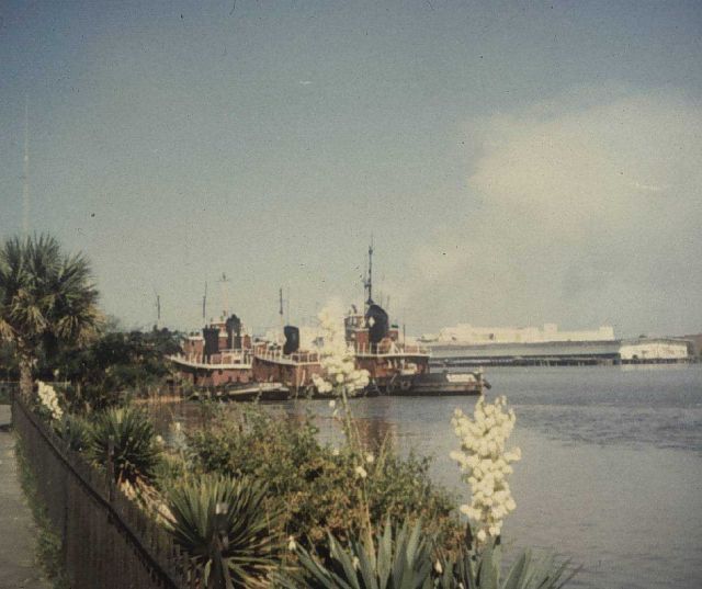 Savannah waterfront scene Picture