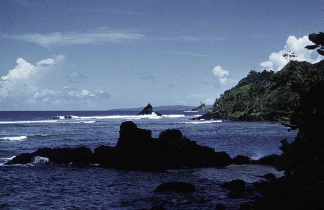 Rocky shores of American Samoa. Picture
