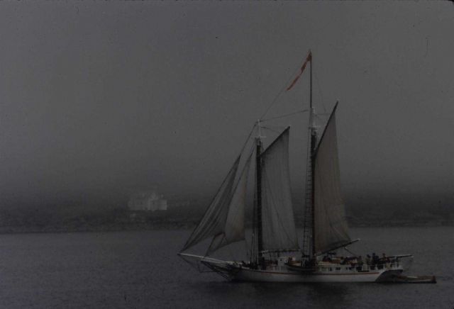 Schooner cruising in Penobscot Bay. Picture