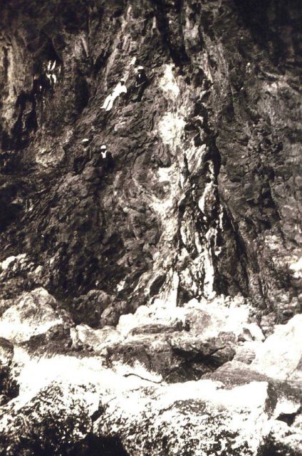 Coral cliff shoreline Picture