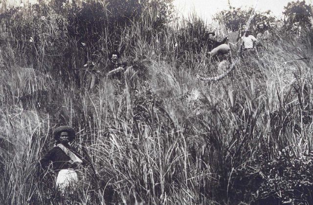 Going to Bosque - if it wasn't trees and vines, it was head-high sawgrass. Picture