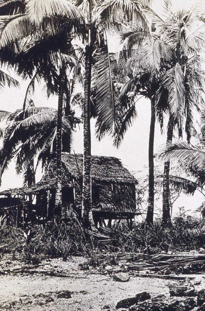 A grass thatch hut. Picture