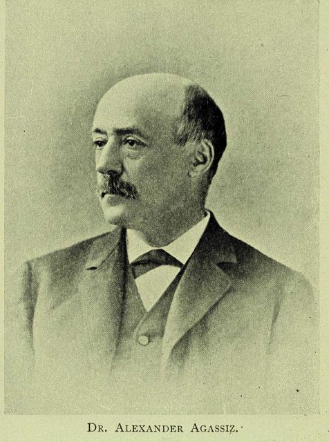 Alexander Agassiz. Picture