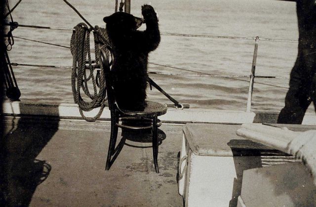 Meal-time on the GEDNEY. Picture