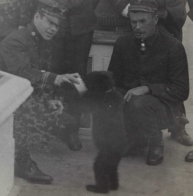 Billy as a cub being fed by Leo O Picture