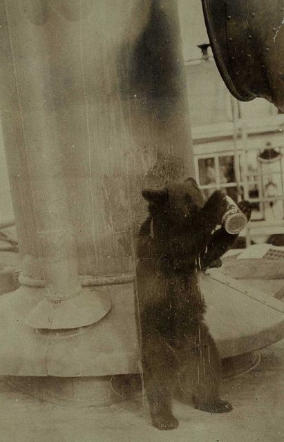 Billy making a mess - boy that stuff takes good. Picture