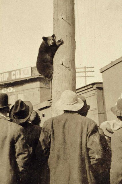 Civilization and Billy didn't work out Picture