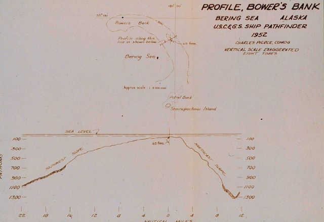 Profile of Bowers Bank Picture