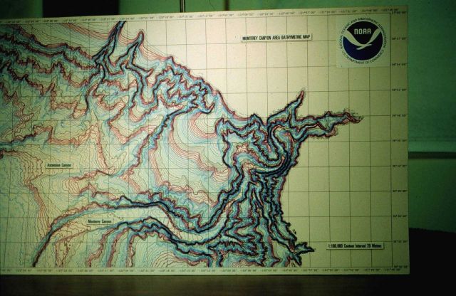 Monterey Bay Case Study - Photo -8 Picture
