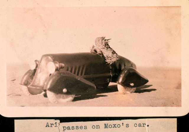 Ari passes on Moxo's car Picture
