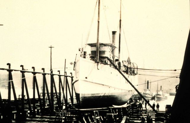 Coast and Geodetic Survey Steamer MCARTHUR I Picture