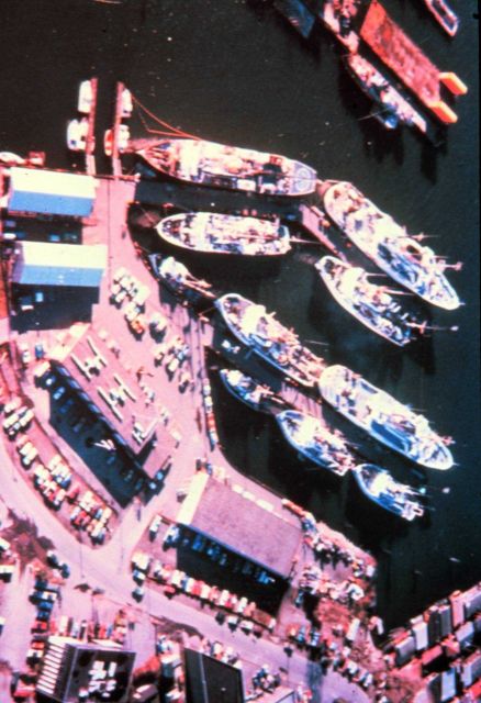 NOAA Ships at Seattle Ship Base. Picture