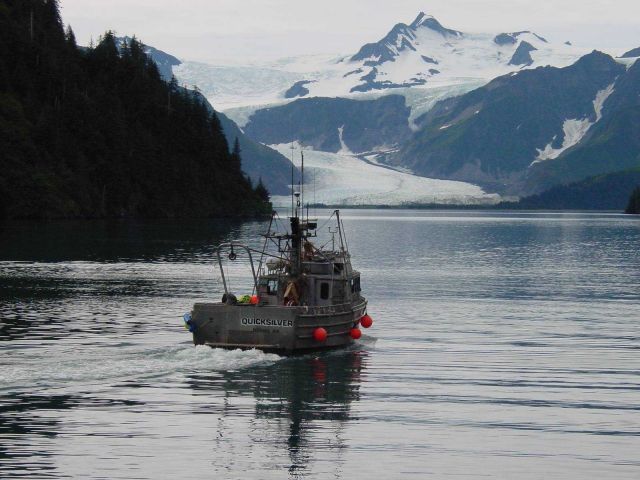 The contract survey vessel QUICKSILVER underway Picture