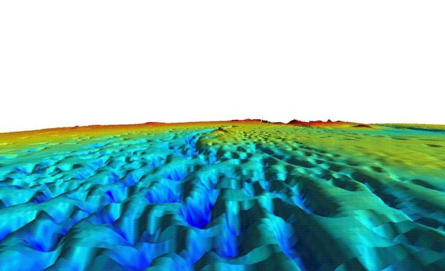 Pockmarked bottom area in Belfast area of Penobscot Bay Picture