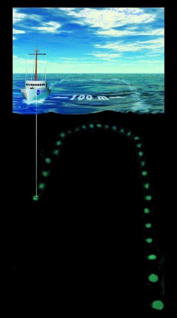Graphic illustrating the density of sounding data obtained with leadline sounding technology. Picture