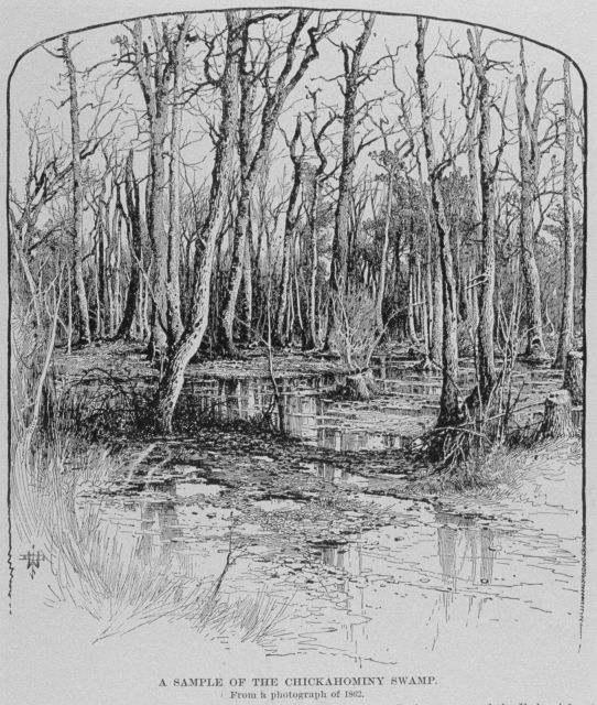 A sample of the Chickahominy Swamp. Picture