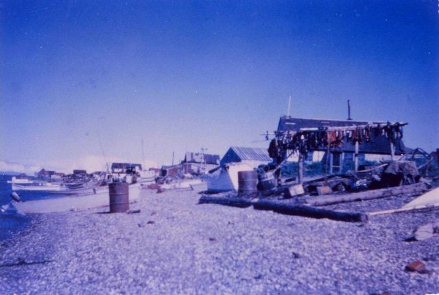 Kotzebue oceanfront property with seal meat drying on racks. Picture