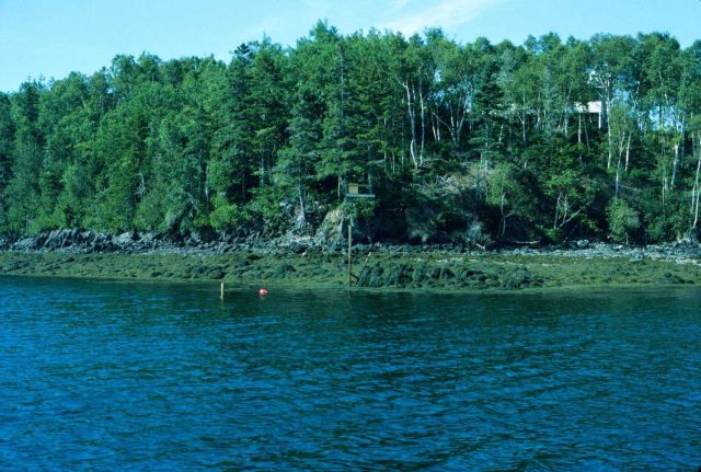 Tide gauge with overlapping tide staffs because of high range of tide Picture