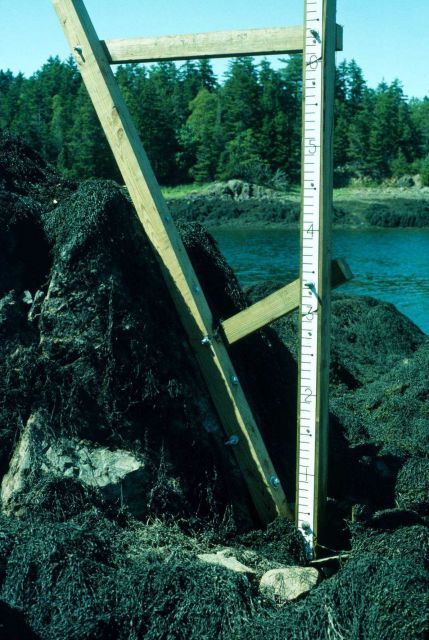A closeup of the upper tide staff of the two overlapping staffs in the previous picture. Picture