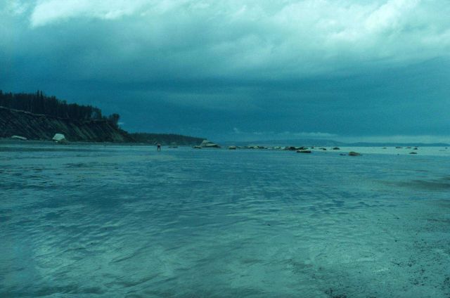 Tide flats at low tide on the east side of Cook Inlet. Picture