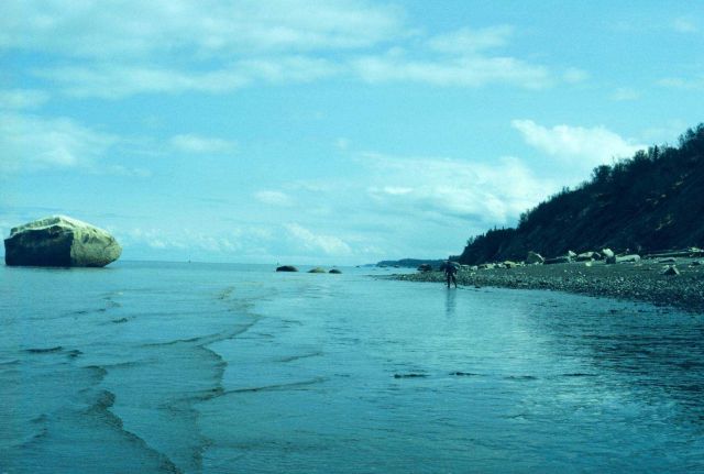 Looking northeast from tide gauge location in Upper Cook Inlet Picture