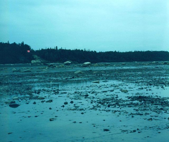 The view from the Zodiac back towards the tide gauge installation and orange hydrographic signal in Upper Cook Inlet Picture