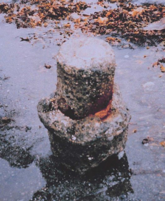 Tidal bench mark eroding away. Picture